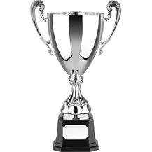 Nickel Plated Trophy